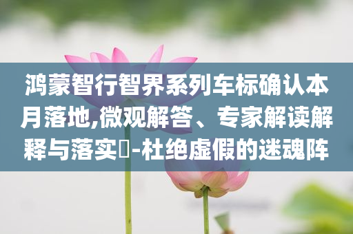 鴻蒙智行智界系列車標確認本月落地,微觀解答、專家解讀解釋與落實?-杜絕虛假的迷魂陣