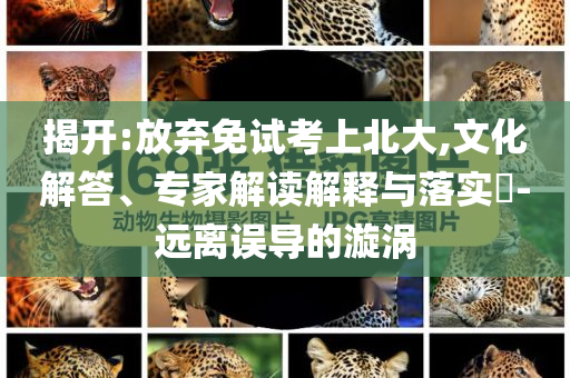 揭開(kāi):放棄免試考上北大,文化解答、專家解讀解釋與落實(shí)?-遠(yuǎn)離誤導(dǎo)的漩渦