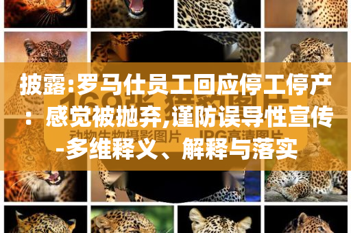 披露:羅馬仕員工回應(yīng)停工停產(chǎn)：感覺被拋棄,謹(jǐn)防誤導(dǎo)性宣傳-多維釋義、解釋與落實
