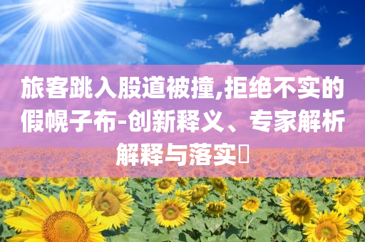 旅客跳入股道被撞,拒絕不實(shí)的假幌子布-創(chuàng)新釋義、專家解析解釋與落實(shí)?
