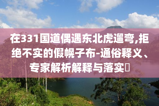 在331國(guó)道偶遇東北虎遛彎,拒絕不實(shí)的假幌子布-通俗釋義、專(zhuān)家解析解釋與落實(shí)?