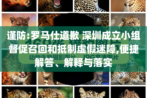 謹防:羅馬仕道歉 深圳成立小組督促召回和抵制虛假迷障,便捷解答、解釋與落實