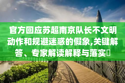 官方回應(yīng)蘇超南京隊(duì)長(zhǎng)不文明動(dòng)作和規(guī)避迷惑的假象,關(guān)鍵解答、專(zhuān)家解讀解釋與落實(shí)?