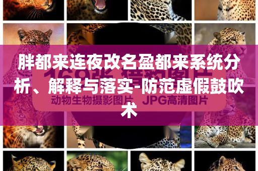 胖都來連夜改名盈都來系統(tǒng)分析、解釋與落實(shí)-防范虛假鼓吹術(shù)