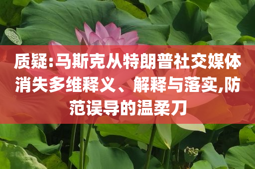 質(zhì)疑:馬斯克從特朗普社交媒體消失多維釋義、解釋與落實(shí),防范誤導(dǎo)的溫柔刀