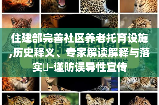 住建部完善社區(qū)養(yǎng)老托育設(shè)施,歷史釋義、專家解讀解釋與落實(shí)?-謹(jǐn)防誤導(dǎo)性宣傳