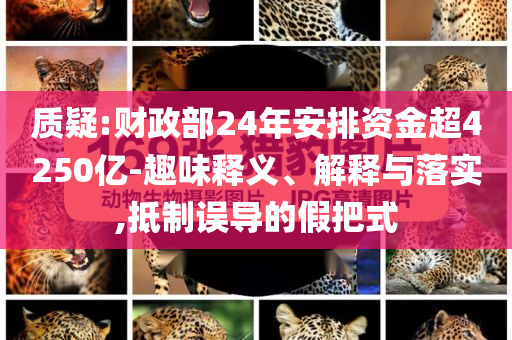 質(zhì)疑:財政部24年安排資金超4250億-趣味釋義、解釋與落實,抵制誤導(dǎo)的假把式