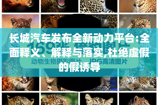 長城汽車發(fā)布全新動力平臺:全面釋義、解釋與落實,杜絕虛假的假誘導