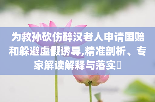 為救孫砍傷醉漢老人申請國賠和躲避虛假誘導,精準剖析、專家解讀解釋與落實?