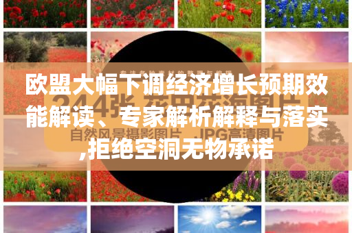 歐盟大幅下調(diào)經(jīng)濟(jì)增長(zhǎng)預(yù)期效能解讀、專(zhuān)家解析解釋與落實(shí),拒絕空洞無(wú)物承諾
