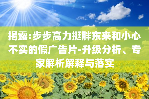 揭露:步步高力挺胖東來(lái)和小心不實(shí)的假?gòu)V告片-升級(jí)分析、專家解析解釋與落實(shí)