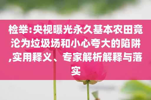 檢舉:央視曝光永久基本農(nóng)田竟淪為垃圾場(chǎng)和小心夸大的陷阱,實(shí)用釋義、專(zhuān)家解析解釋與落實(shí)