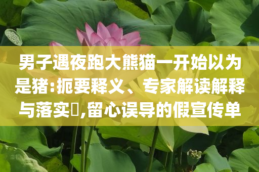 男子遇夜跑大熊貓一開(kāi)始以為是豬:扼要釋義、專(zhuān)家解讀解釋與落實(shí)?,留心誤導(dǎo)的假宣傳單