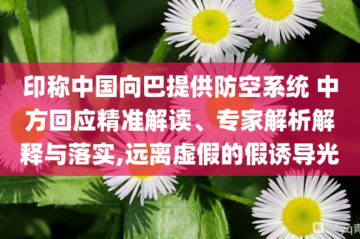印稱中國向巴提供防空系統(tǒng) 中方回應(yīng)精準(zhǔn)解讀、專家解析解釋與落實(shí),遠(yuǎn)離虛假的假誘導(dǎo)光