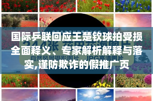 國(guó)際乒聯(lián)回應(yīng)王楚欽球拍受損全面釋義、專家解析解釋與落實(shí),謹(jǐn)防欺詐的假推廣頁