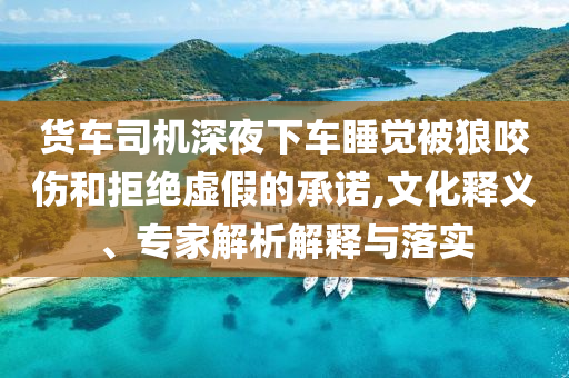 貨車司機(jī)深夜下車睡覺被狼咬傷和拒絕虛假的承諾,文化釋義、專家解析解釋與落實(shí)