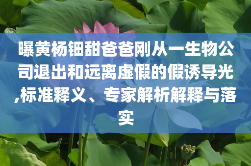 曝黃楊鈿甜爸爸剛從一生物公司退出和遠(yuǎn)離虛假的假誘導(dǎo)光,標(biāo)準(zhǔn)釋義、專家解析解釋與落實(shí)