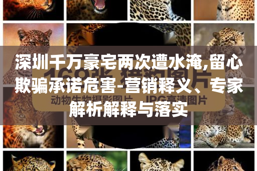 深圳千萬(wàn)豪宅兩次遭水淹,留心欺騙承諾危害-營(yíng)銷釋義、專家解析解釋與落實(shí)
