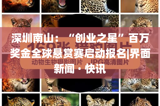 深圳南山：“創(chuàng)業(yè)之星”百萬獎金全球懸賞賽啟動報名|界面新聞 · 快訊