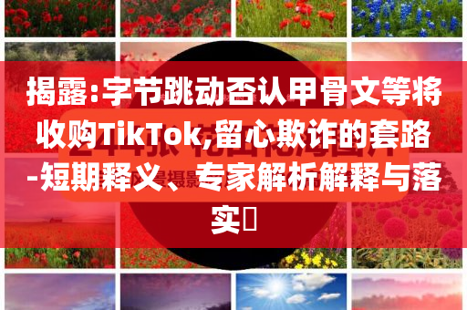 揭露:字節(jié)跳動(dòng)否認(rèn)甲骨文等將收購(gòu)TikTok,留心欺詐的套路-短期釋義、專家解析解釋與落實(shí)?