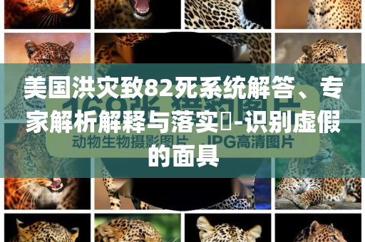 美國(guó)洪災(zāi)致82死系統(tǒng)解答、專家解析解釋與落實(shí)?-識(shí)別虛假的面具