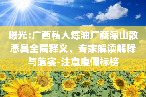 曝光:廣西私人煉油廠藏深山散惡臭全局釋義、專家解讀解釋與落實-注意虛假標(biāo)榜