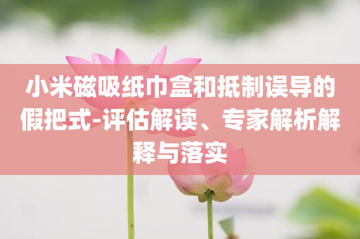 小米磁吸紙巾盒和抵制誤導(dǎo)的假把式-評(píng)估解讀、專家解析解釋與落實(shí)