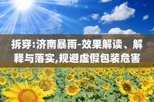 拆穿:濟(jì)南暴雨-效果解讀、解釋與落實(shí),規(guī)避虛假包裝危害