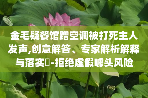 金毛疑餐館蹭空調(diào)被打死主人發(fā)聲,創(chuàng)意解答、專家解析解釋與落實(shí)?-拒絕虛假噱頭風(fēng)險(xiǎn)