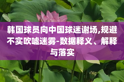 韓國球員向中國球迷謝場,規(guī)避不實(shí)吹噓迷霧-數(shù)據(jù)釋義、解釋與落實(shí)