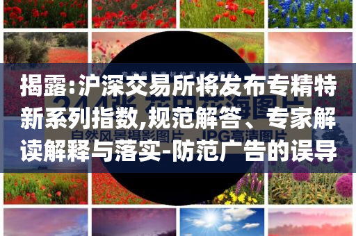 揭露:滬深交易所將發(fā)布專精特新系列指數(shù),規(guī)范解答、專家解讀解釋與落實(shí)-防范廣告的誤導(dǎo)