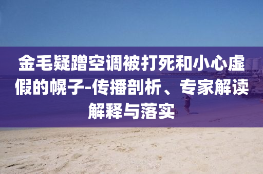 金毛疑蹭空調(diào)被打死和小心虛假的幌子-傳播剖析、專家解讀解釋與落實