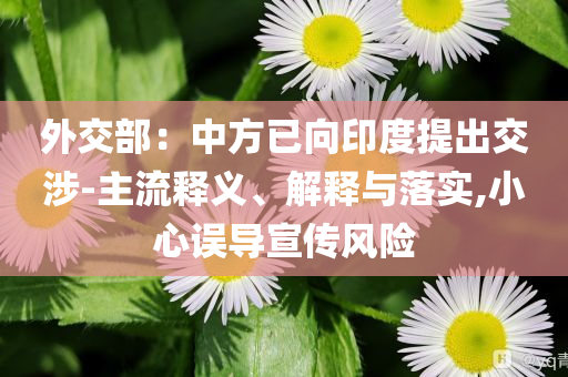 外交部：中方已向印度提出交涉-主流釋義、解釋與落實(shí),小心誤導(dǎo)宣傳風(fēng)險(xiǎn)