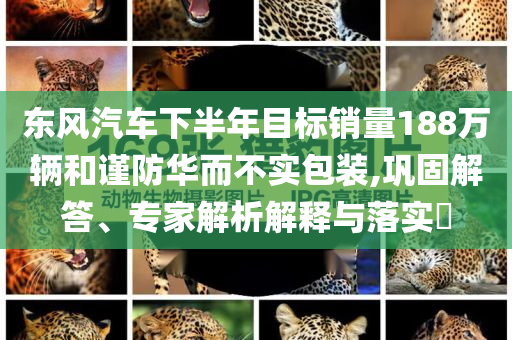 東風(fēng)汽車下半年目標銷量188萬輛和謹防華而不實包裝,鞏固解答、專家解析解釋與落實?