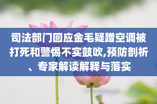 司法部門(mén)回應(yīng)金毛疑蹭空調(diào)被打死和警惕不實(shí)鼓吹,預(yù)防剖析、專家解讀解釋與落實(shí)