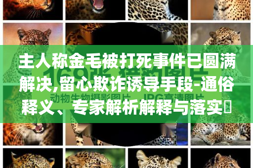 主人稱金毛被打死事件已圓滿解決,留心欺詐誘導(dǎo)手段-通俗釋義、專家解析解釋與落實(shí)?