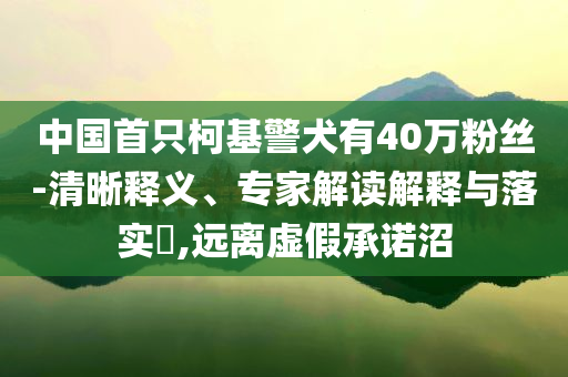 中國首只柯基警犬有40萬粉絲-清晰釋義、專家解讀解釋與落實?,遠離虛假承諾沼