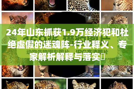 24年山東抓獲1.9萬經(jīng)濟犯和杜絕虛假的迷魂陣-行業(yè)釋義、專家解析解釋與落實?
