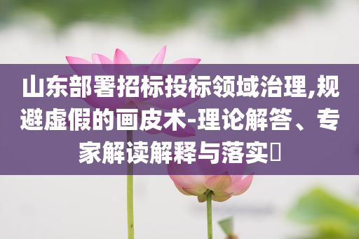 山東部署招標投標領域治理,規(guī)避虛假的畫皮術-理論解答、專家解讀解釋與落實?