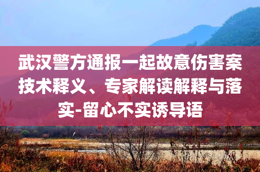 武漢警方通報一起故意傷害案技術(shù)釋義、專家解讀解釋與落實-留心不實誘導(dǎo)語