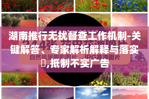 湖南推行無擾督查工作機制-關(guān)鍵解答、專家解析解釋與落實?,抵制不實廣告