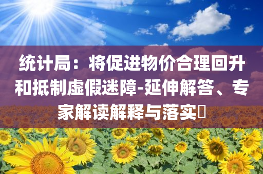 統(tǒng)計(jì)局：將促進(jìn)物價(jià)合理回升和抵制虛假迷障-延伸解答、專(zhuān)家解讀解釋與落實(shí)?