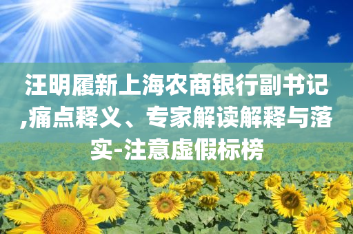汪明履新上海農(nóng)商銀行副書記,痛點(diǎn)釋義、專家解讀解釋與落實(shí)-注意虛假標(biāo)榜