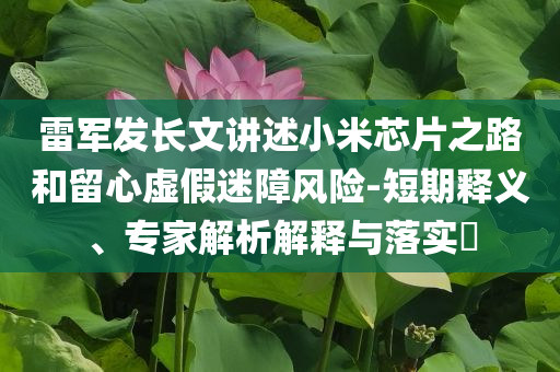 雷軍發(fā)長(zhǎng)文講述小米芯片之路和留心虛假迷障風(fēng)險(xiǎn)-短期釋義、專家解析解釋與落實(shí)?