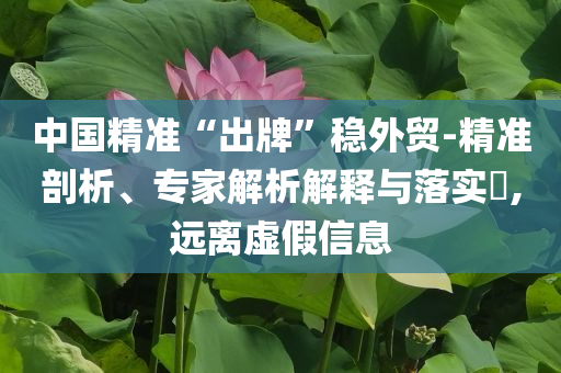 中國(guó)精準(zhǔn)“出牌”穩(wěn)外貿(mào)-精準(zhǔn)剖析、專家解析解釋與落實(shí)?,遠(yuǎn)離虛假信息
