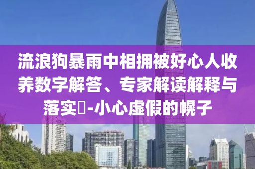 流浪狗暴雨中相擁被好心人收養(yǎng)數(shù)字解答、專家解讀解釋與落實?-小心虛假的幌子