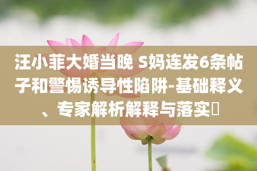 汪小菲大婚當晚 S媽連發(fā)6條帖子和警惕誘導性陷阱-基礎釋義、專家解析解釋與落實?