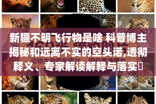 新疆不明飛行物是啥 科普博主揭秘和遠(yuǎn)離不實(shí)的空頭諾,透徹釋義、專家解讀解釋與落實(shí)?