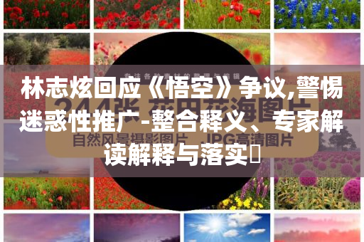 林志炫回應(yīng)《悟空》爭議,警惕迷惑性推廣-整合釋義、專家解讀解釋與落實?