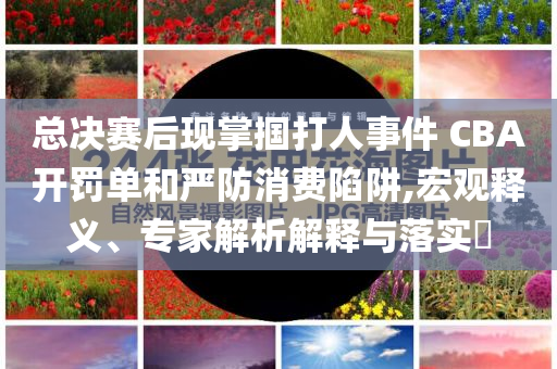 總決賽后現(xiàn)掌摑打人事件 CBA開罰單和嚴(yán)防消費(fèi)陷阱,宏觀釋義、專家解析解釋與落實(shí)?